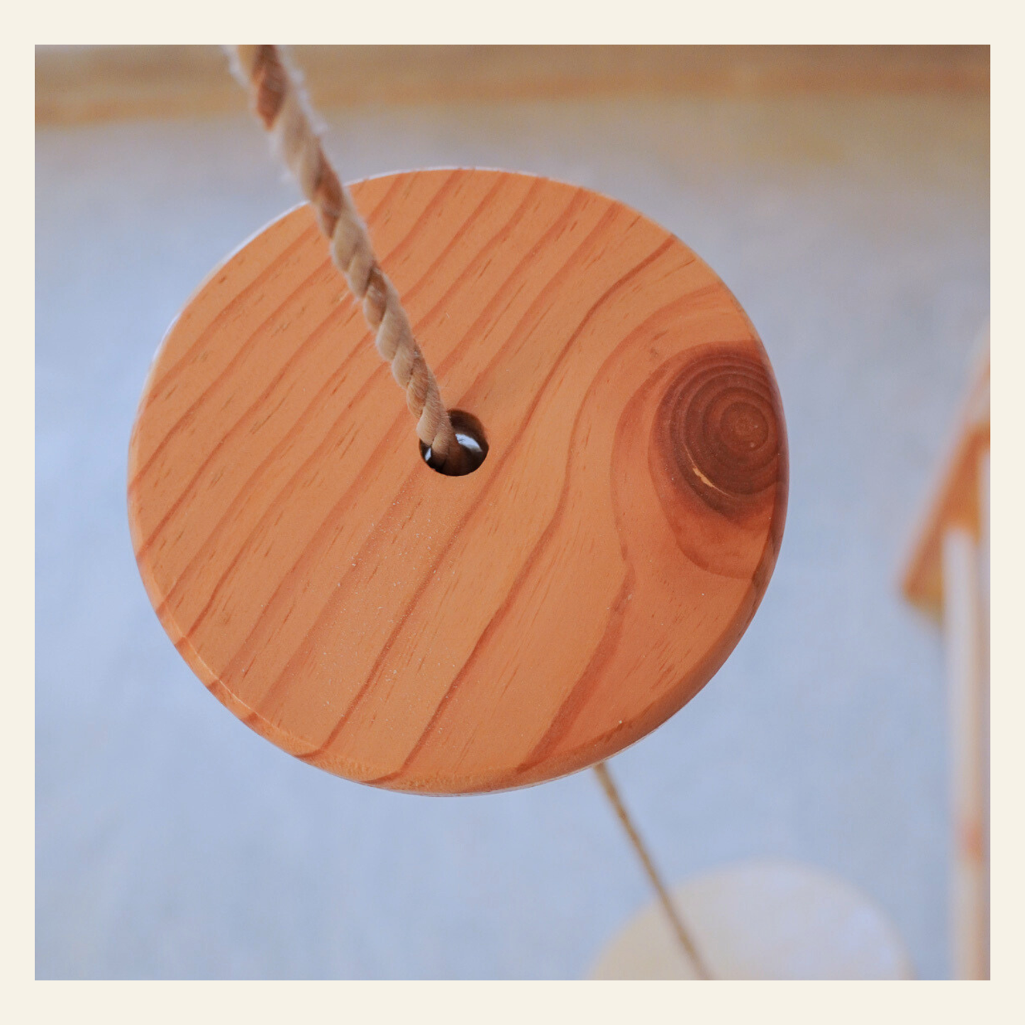 Disc Tree Swing
