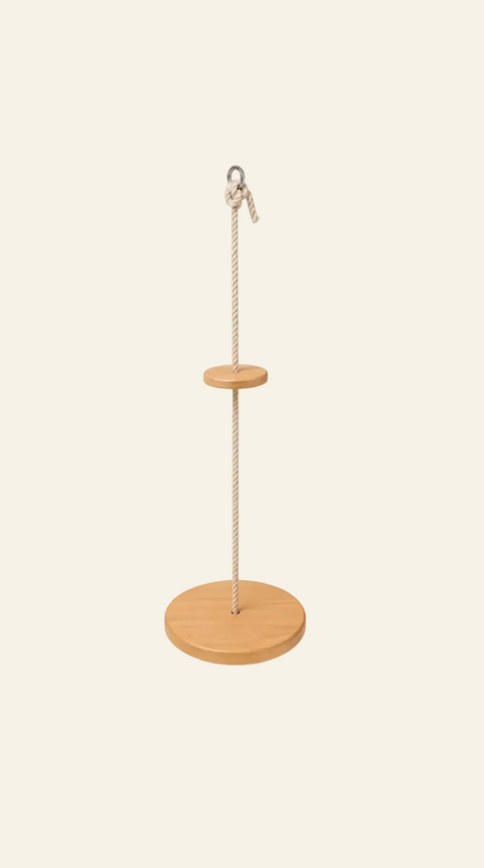 Disc Tree Swing
