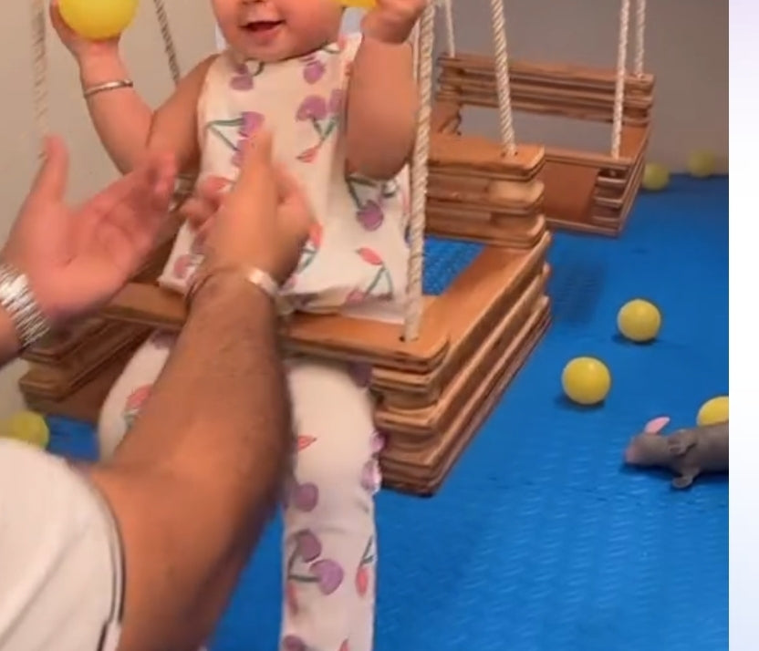 Adjustable Swing for Toddlers