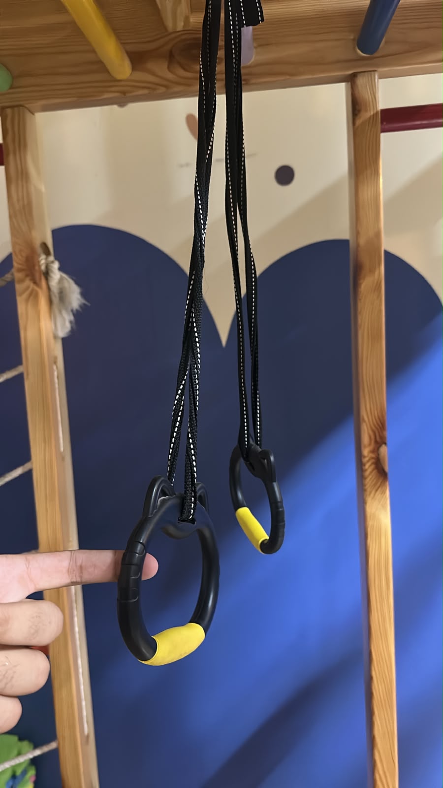 Trapeze Swing